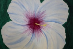 Flores_011_hibiscus-flor-de-maga